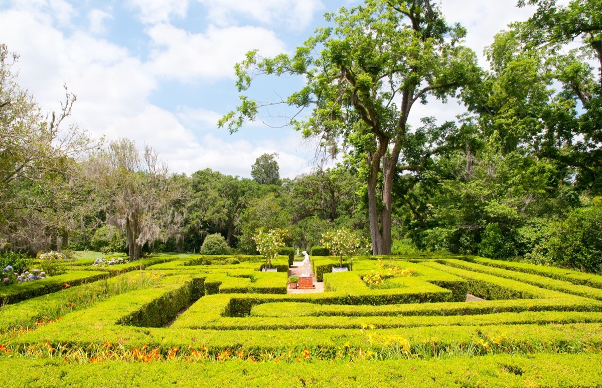 maze in a garden louisiana