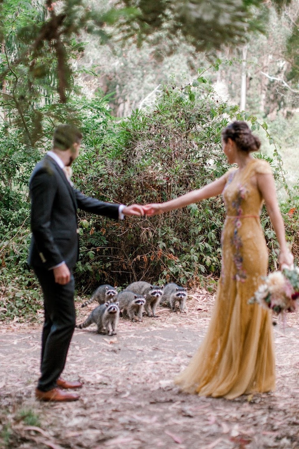 raccoons photobomb wedding