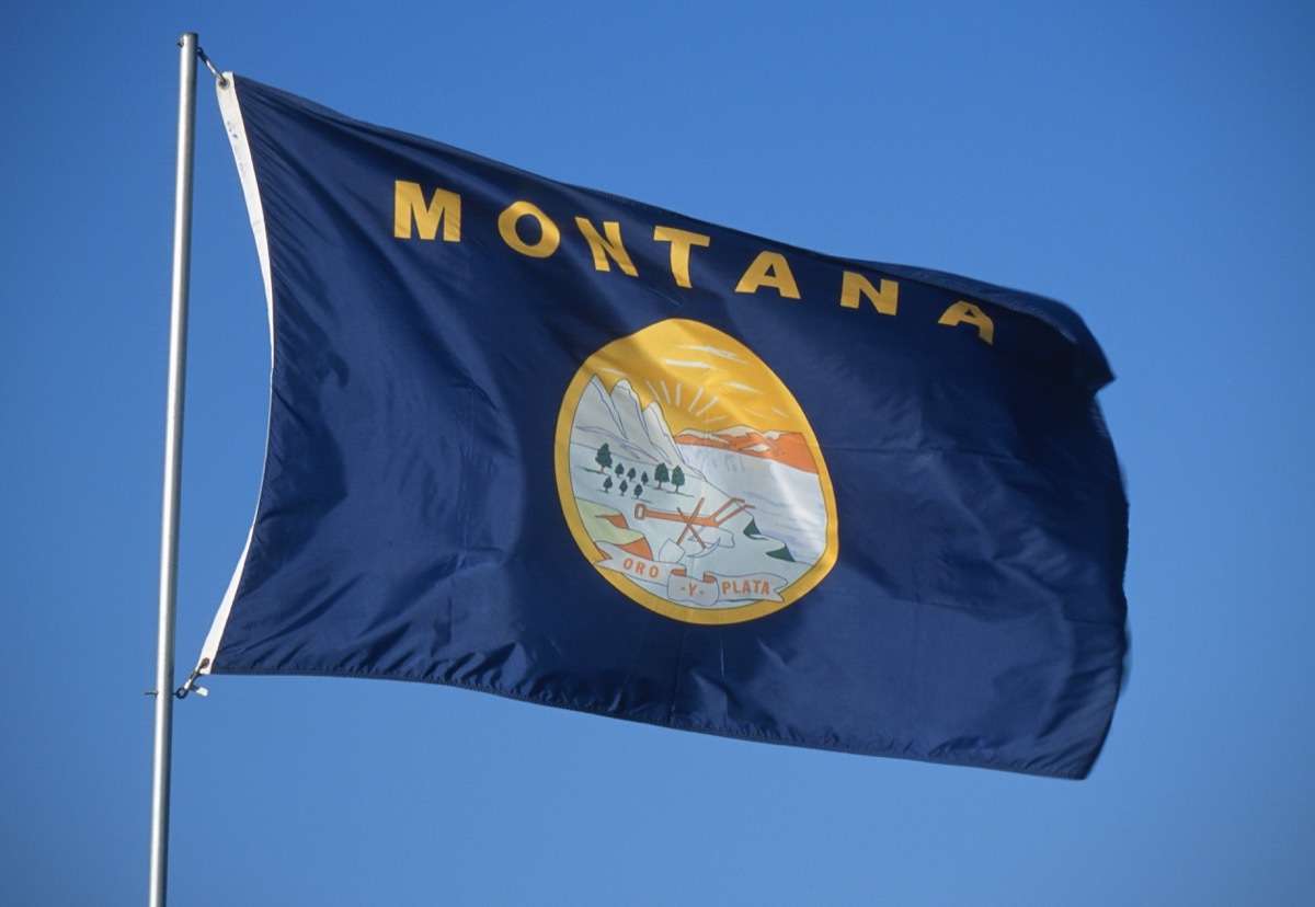 montana state flag facts