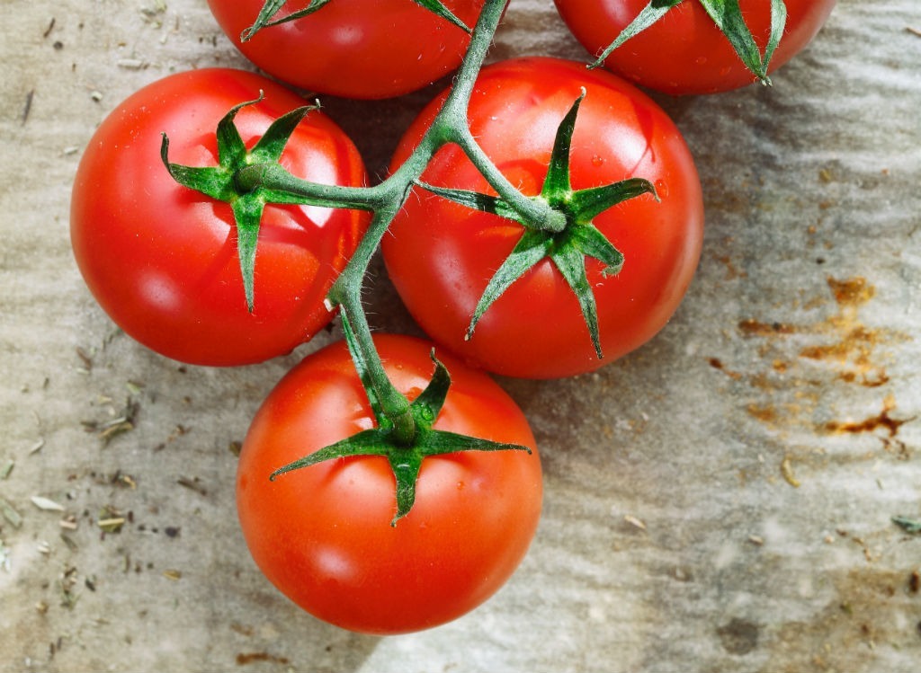 Pearl tomatoes on vine