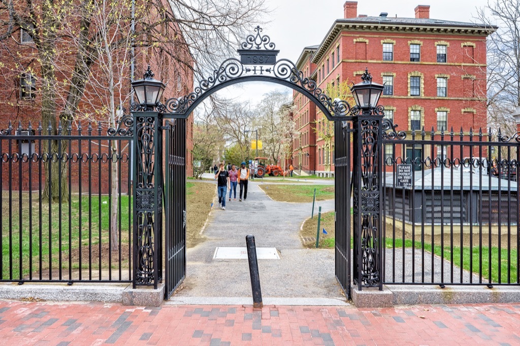 mark zuckerberg for president harvard