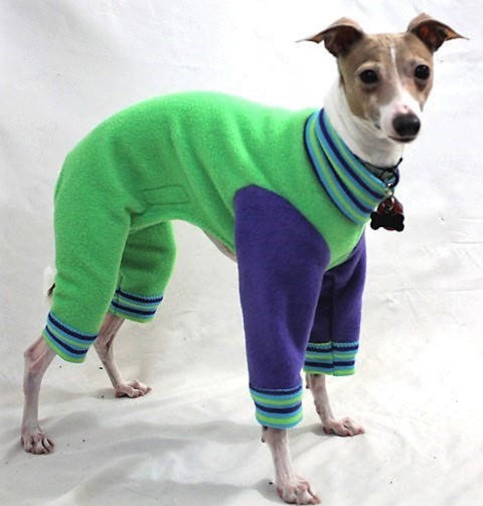 Green Apple Jams adorable dog outfits