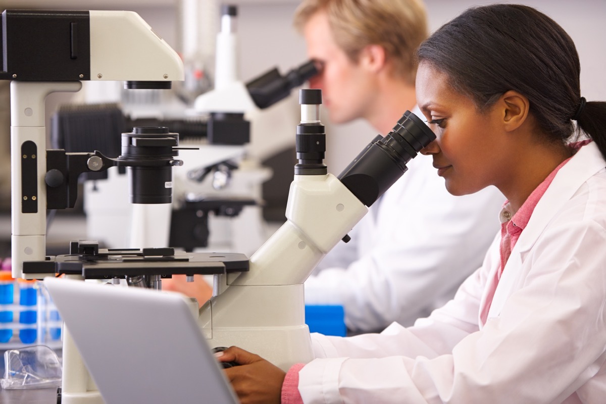 Male And Female Scientists Using Microscopes In Laboratory