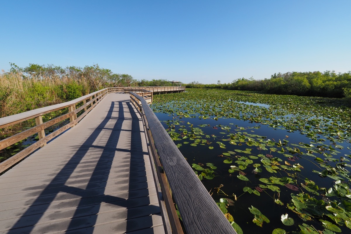 Everglades National Park