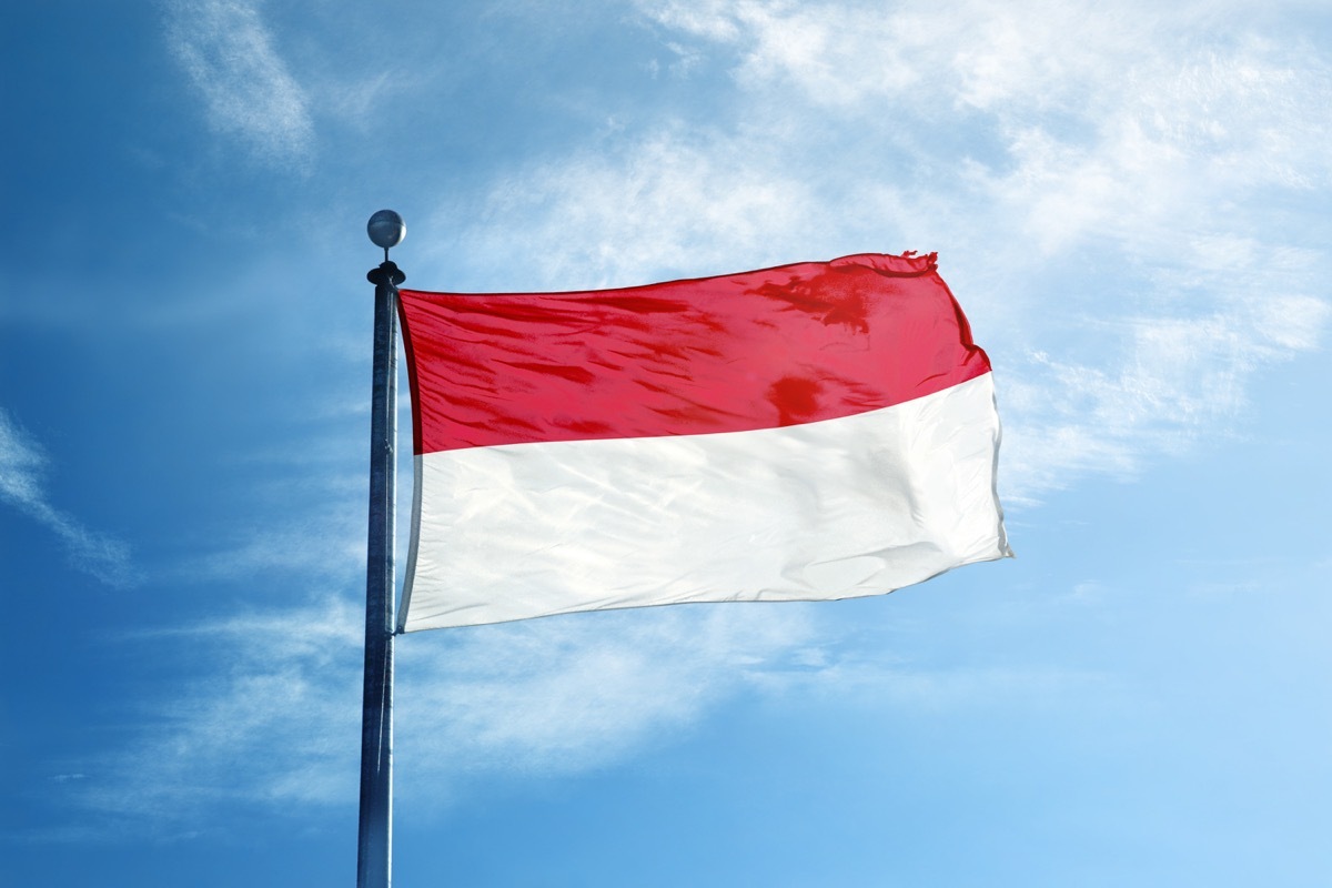 flag of indonesia