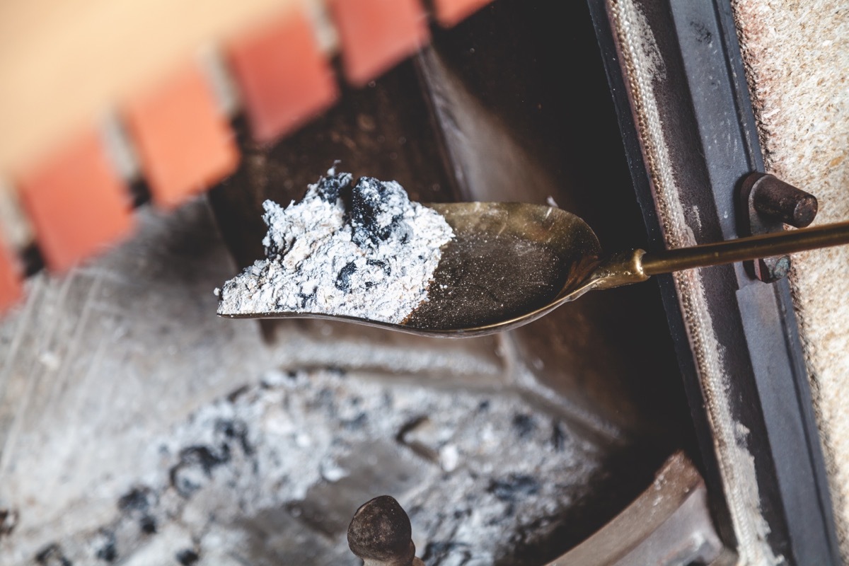 Pile of Fireplace Ashes