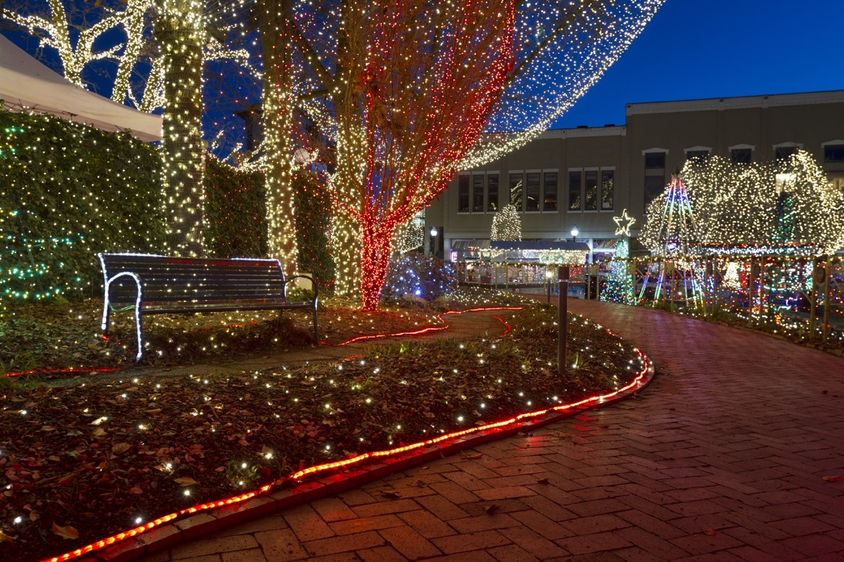 Arkansas Lights of the Ozarks State Christmas Tree 