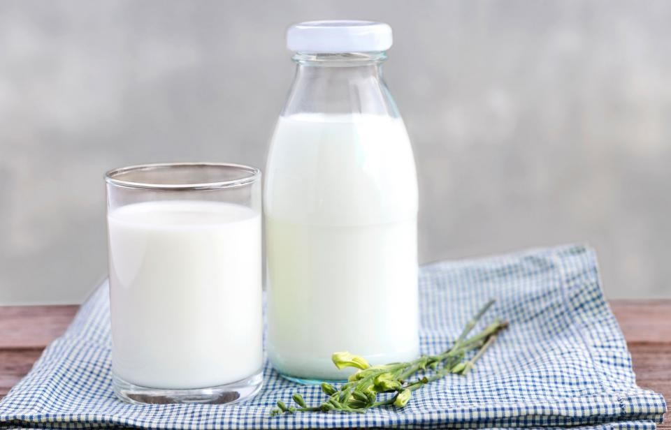 Milk, or alternative substitute  | 10 Things You Should Always Have In Your Fridge | Her Beauty