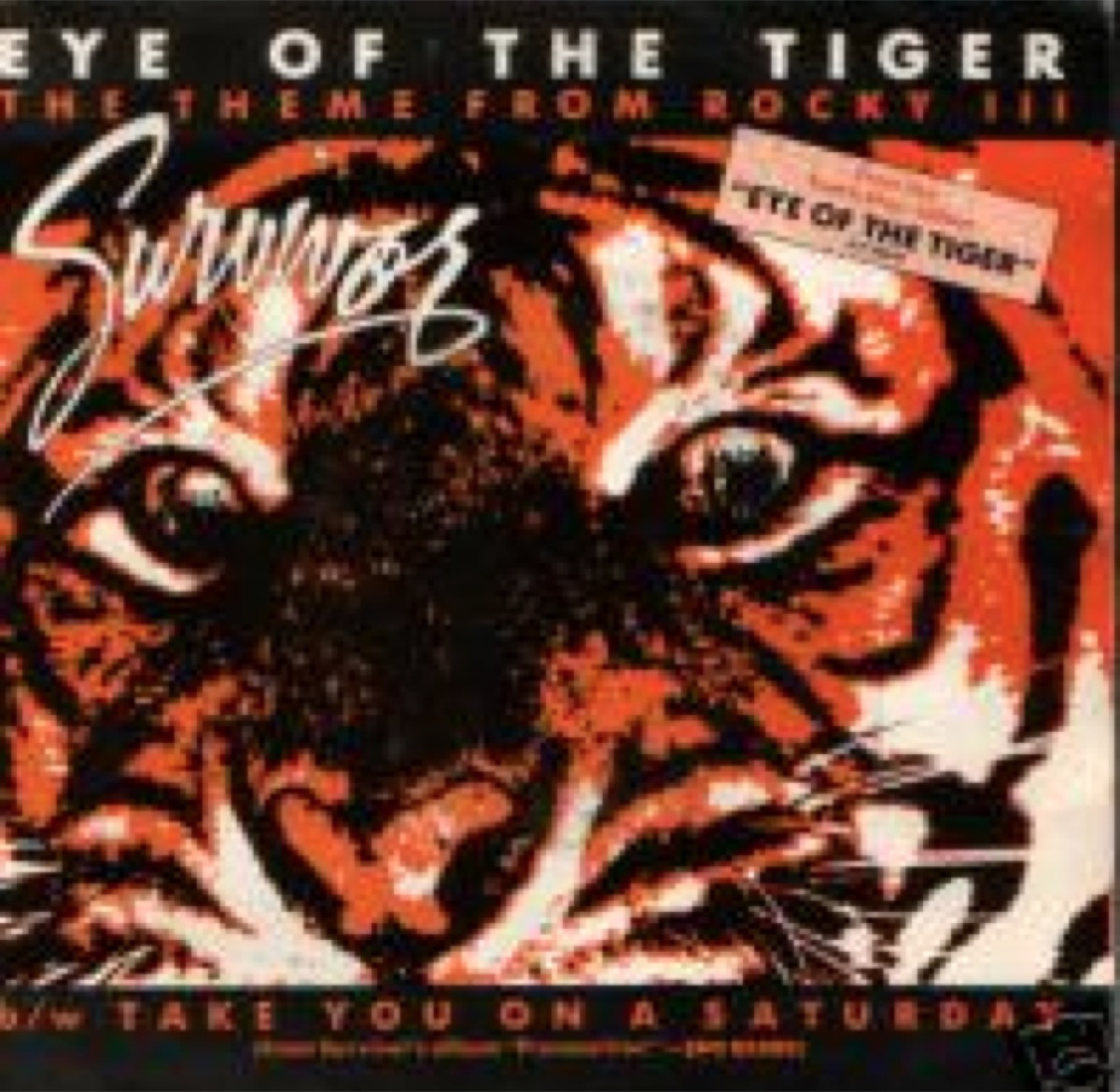 eye of the tiger