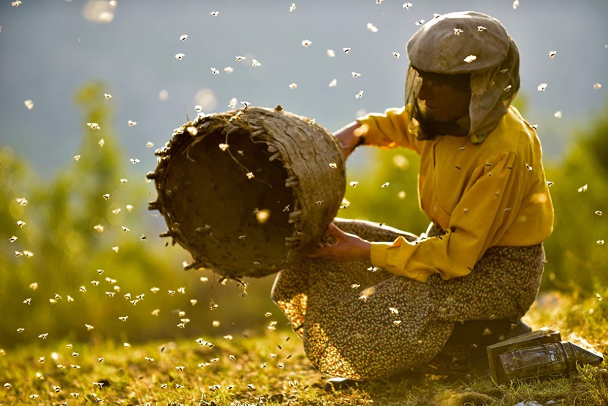 Still from the movie Honeyland