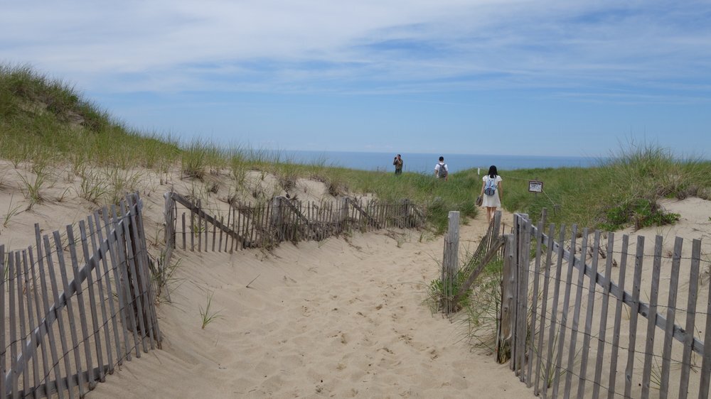 Race Point Beach in Massachusetts