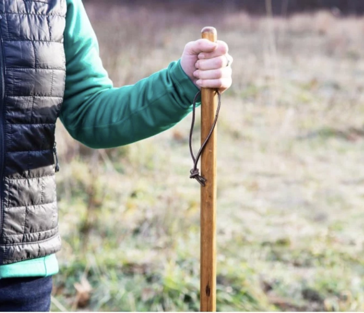 white person in gray vest and green shirt using straight walking stick