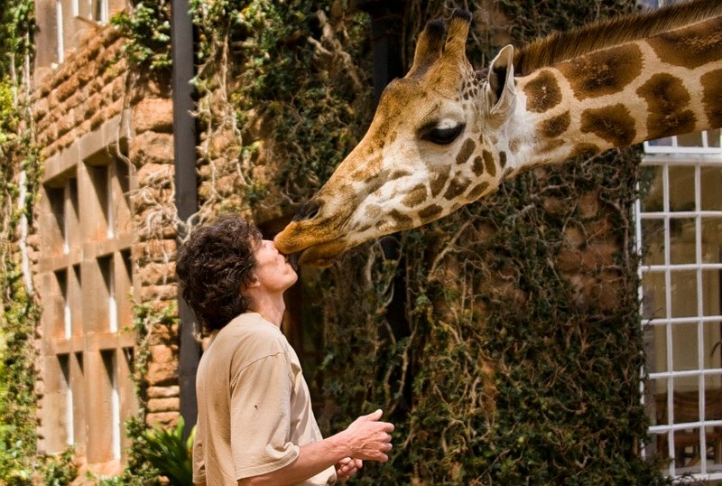 2) Giraffe Manor, Kenya 2