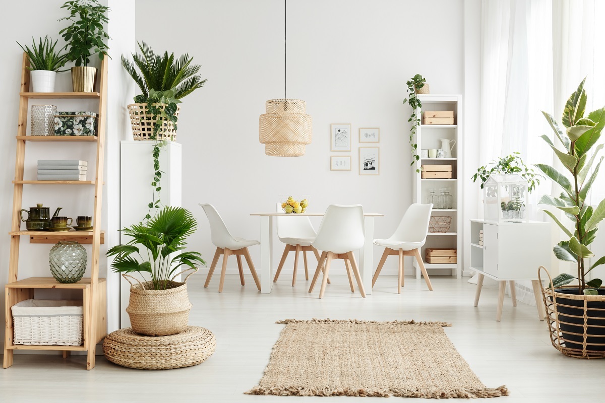 Plants in Home Affordable ways to remodel your home