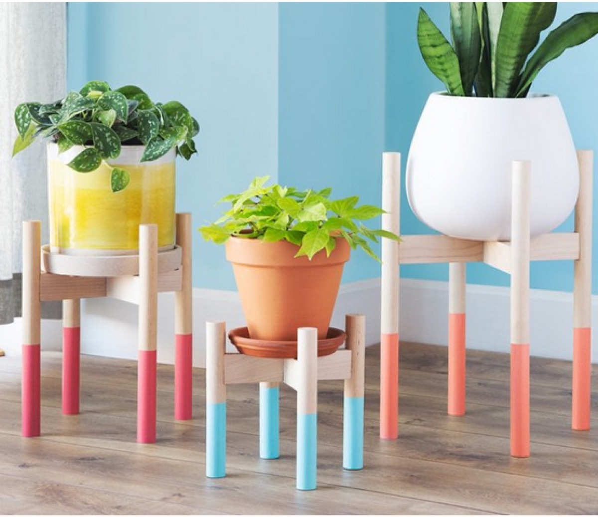 three potted plants on wooden plant stands with colorful legs