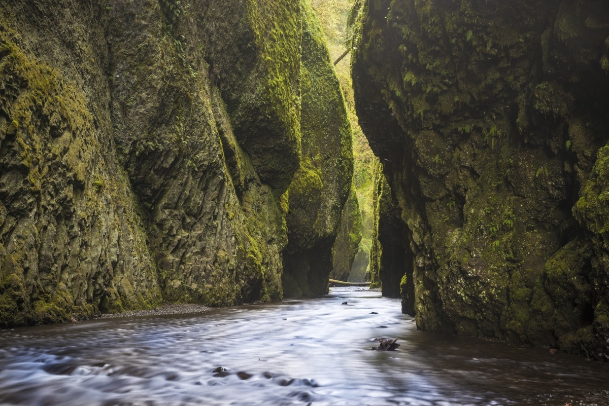 oneonta-gorge-columbia-river-gorge