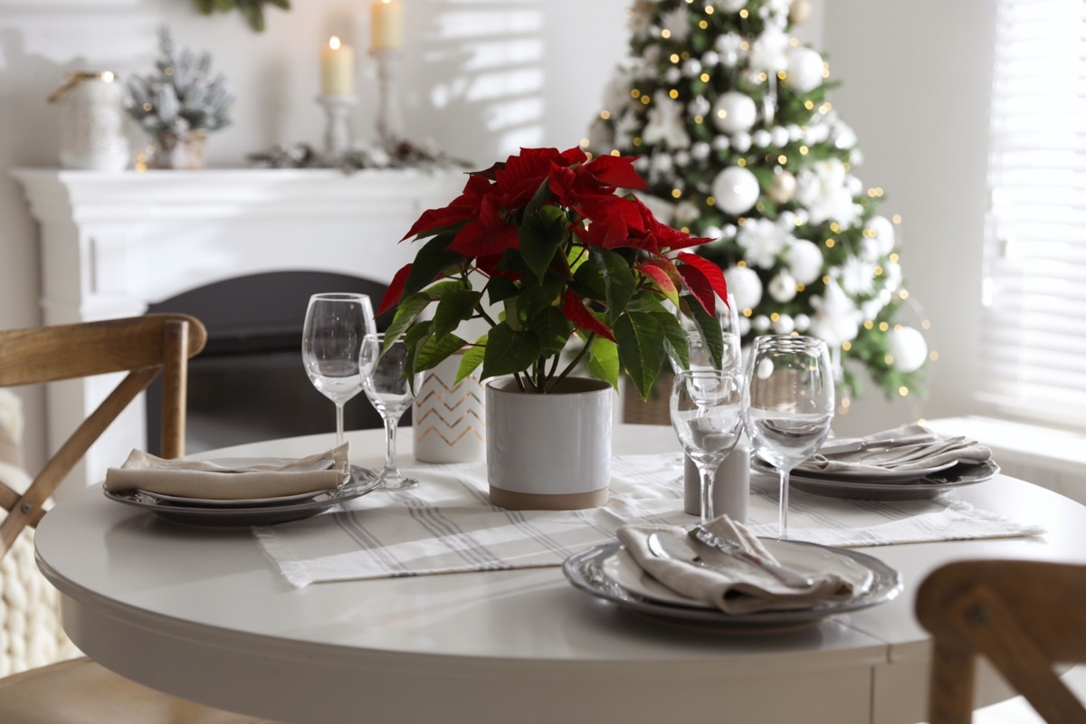 Poinsettia centerpiece on table with Christmas tree in the background