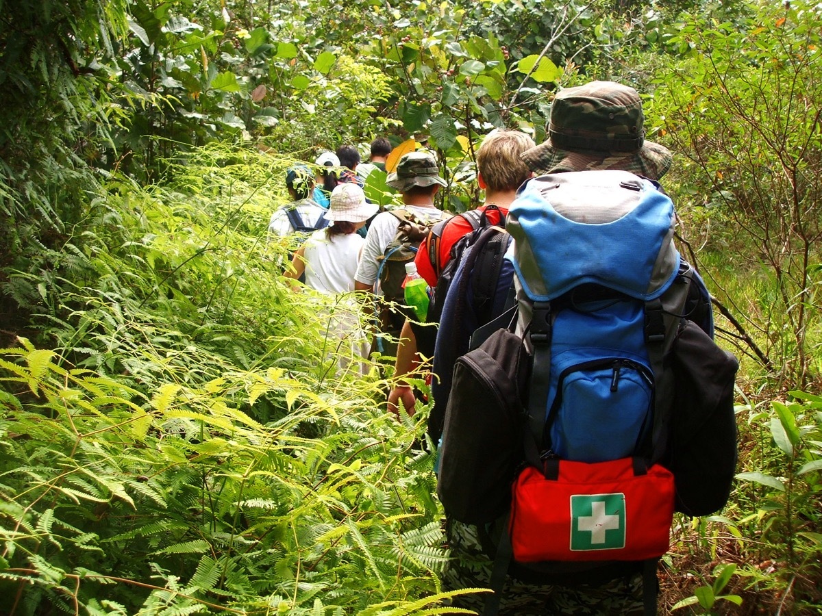 group trekking in the woods with first aid kits