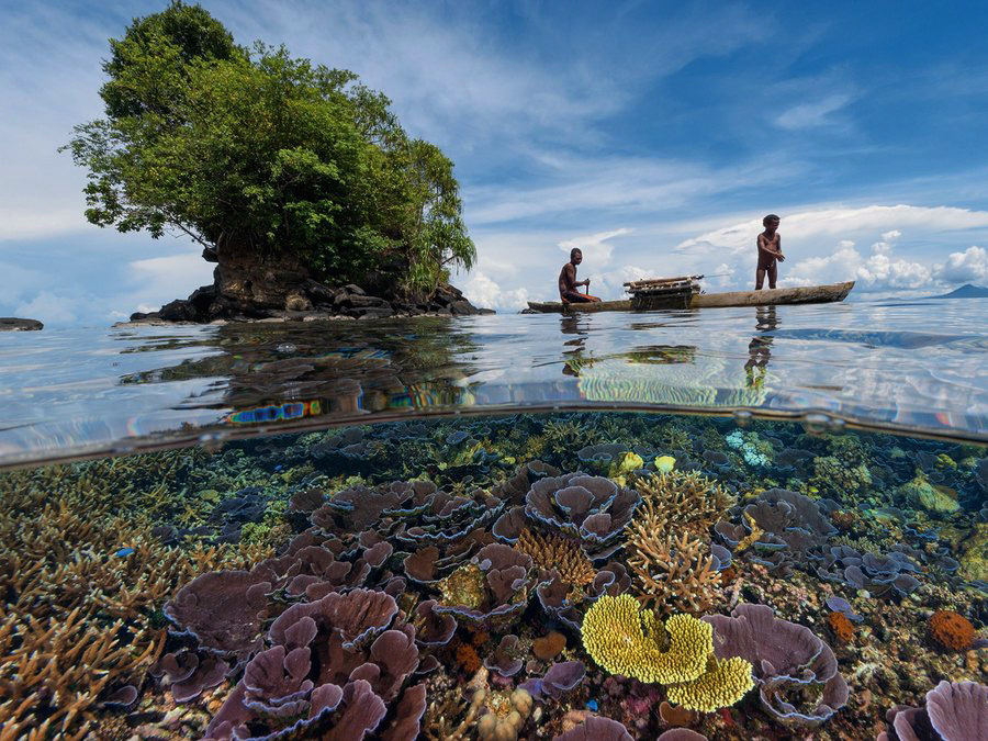 the-most-stunning-coral-reefs-you-definitely-need-to-visit-07