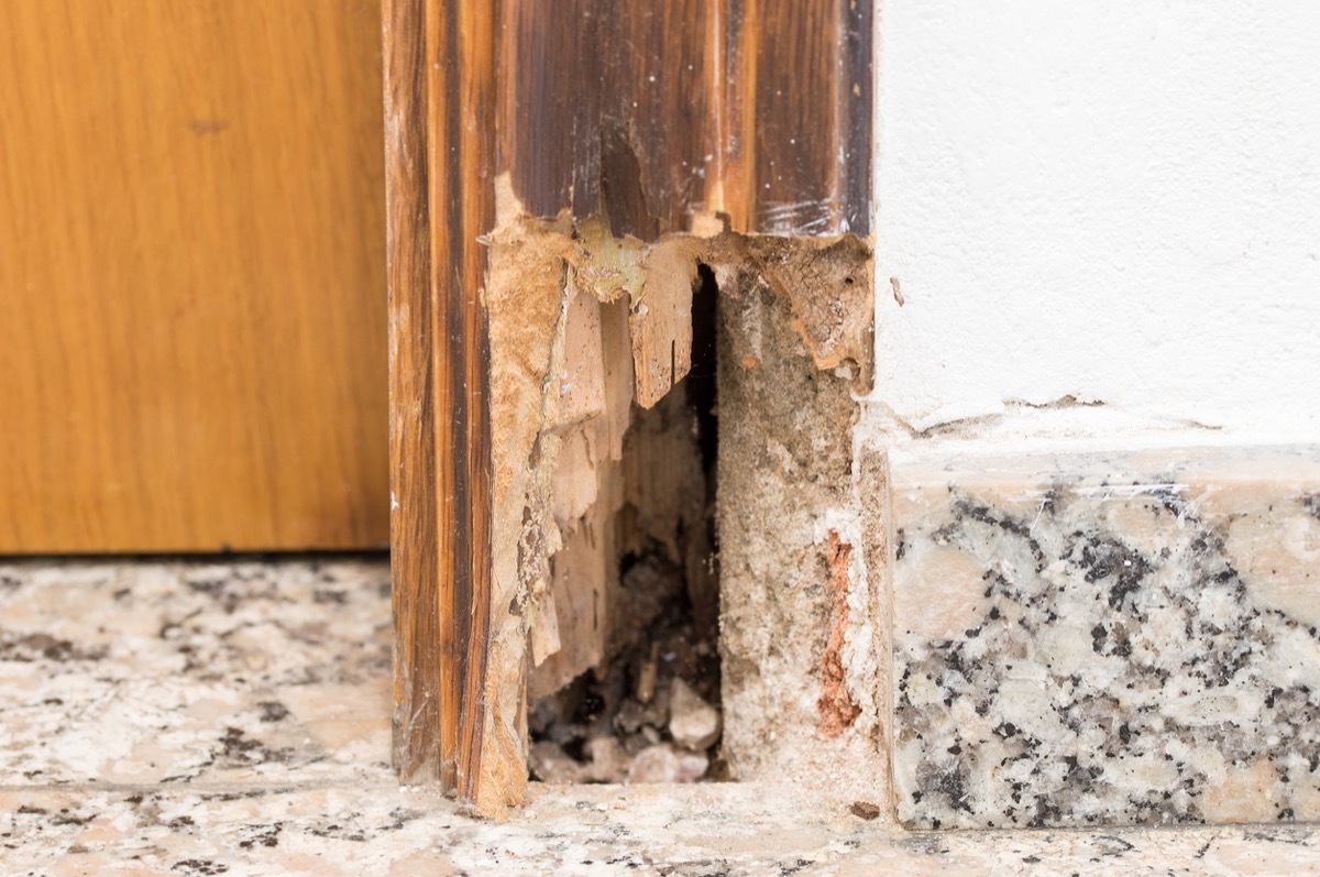 rotten doorframe